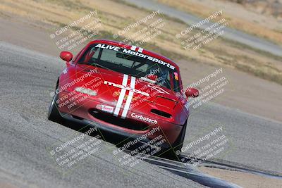 media/Oct-15-2023-CalClub SCCA (Sun) [[64237f672e]]/Group 4/Race/